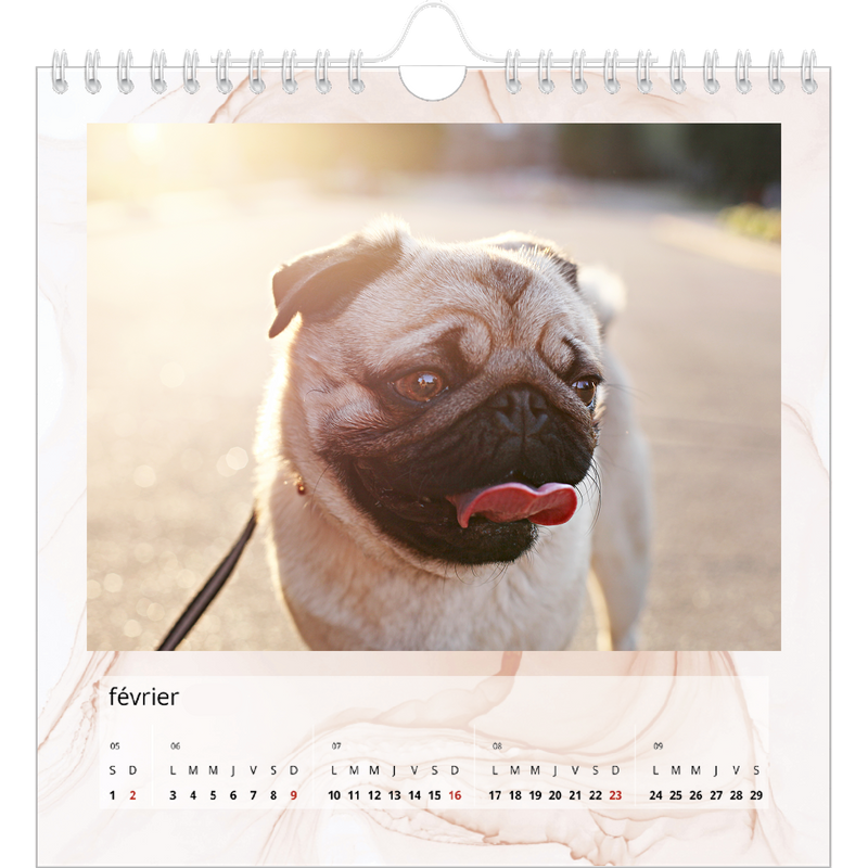 Effet marbre color Calendrier photo square Effet marbre color Calendrier photo square